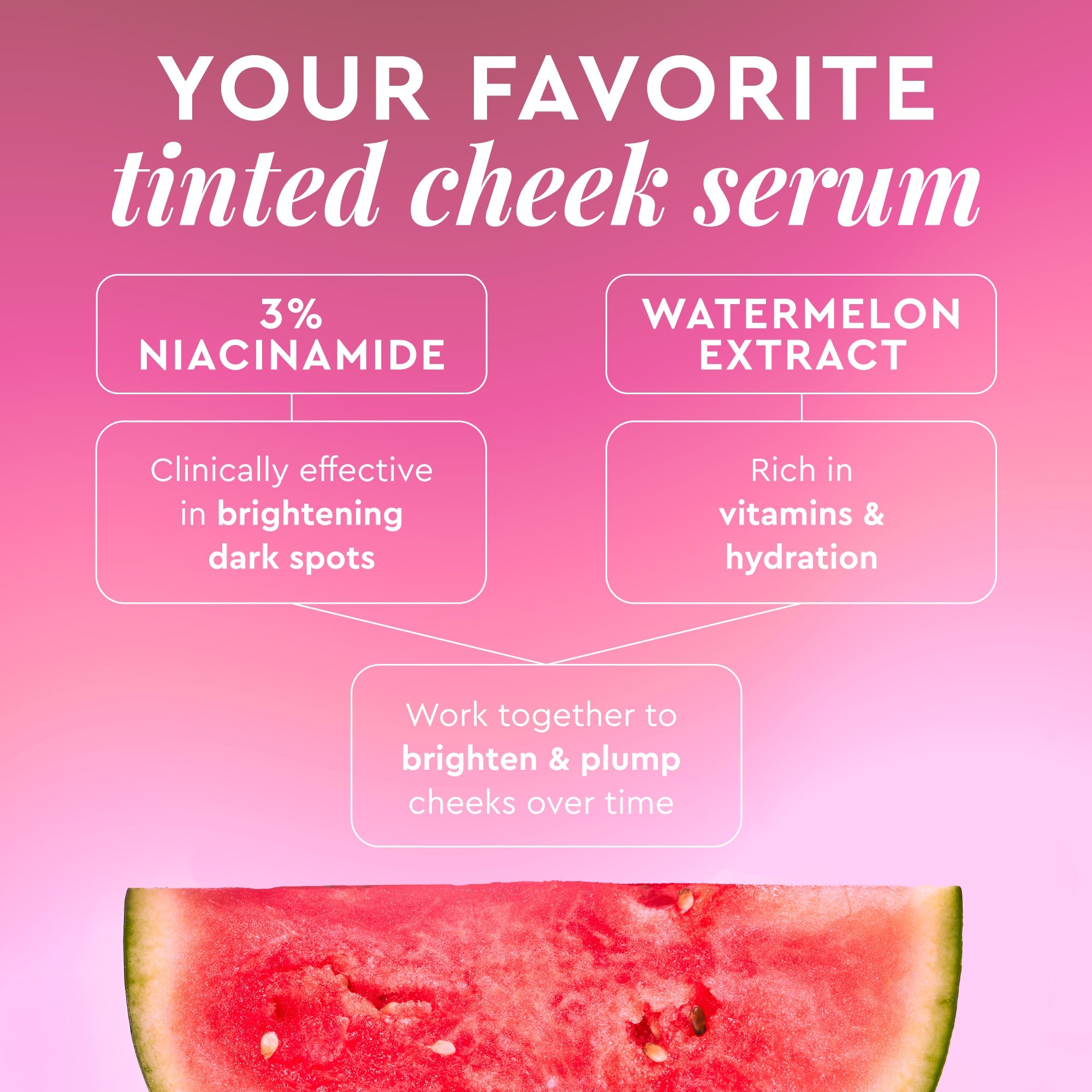 Watermelon Glow Niacinamide Dewy Flush - product image 31